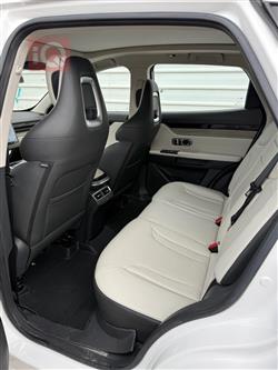 جيتور داشينج